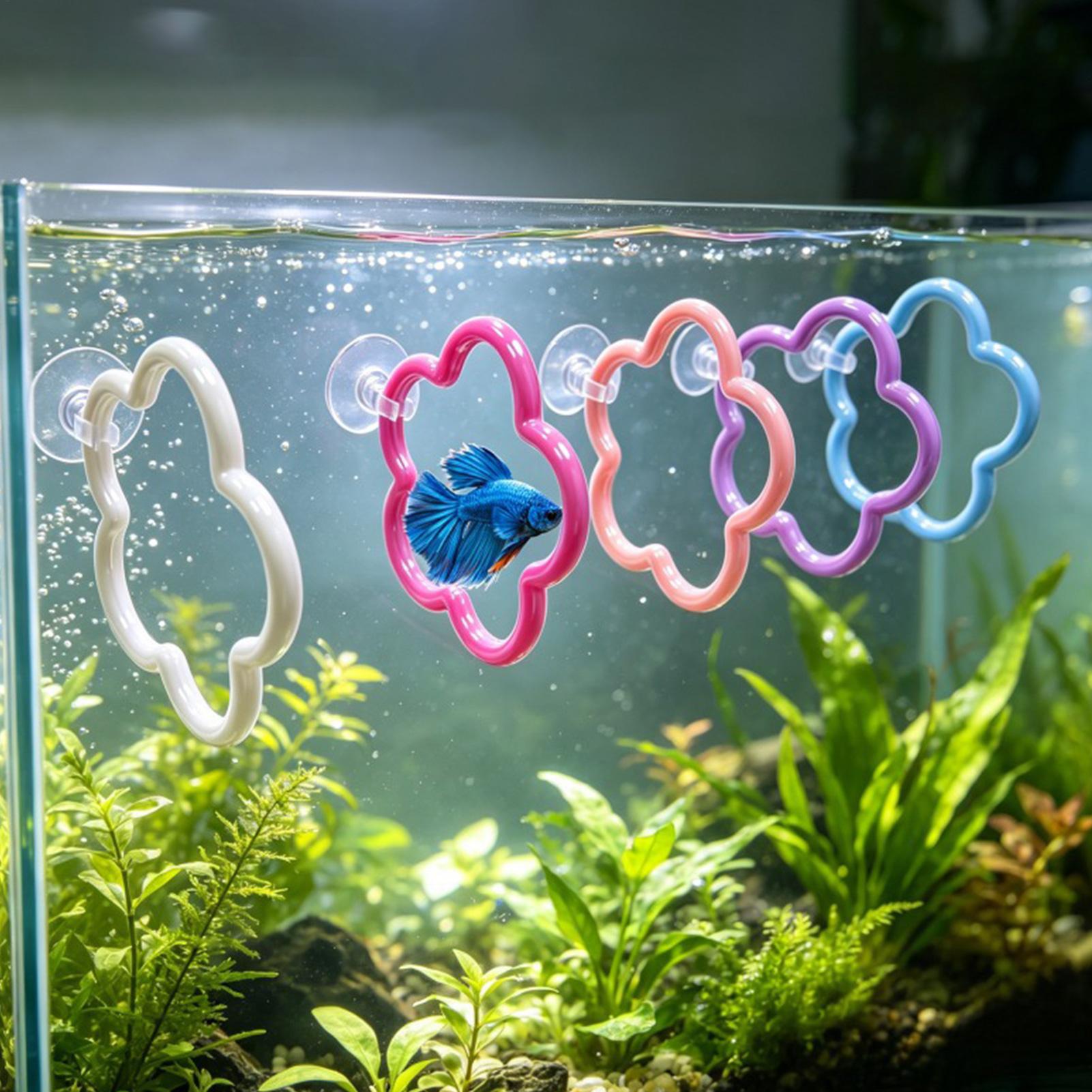 Fish Toys For Aquarium - Betta Fish Toys 5 Pieces Colorful