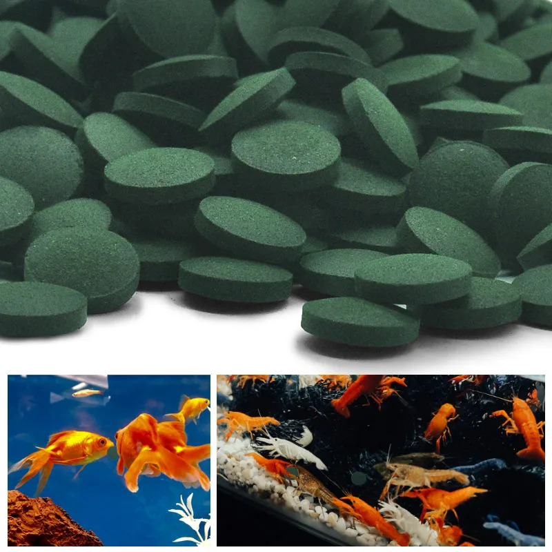 Fish Food Flake - 100/600/800/1000/2000Pcs Spirulina Flakes Spirulina Catfish Tropical