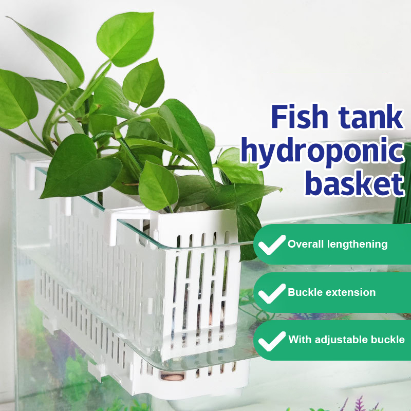 Aquarium Fish Buy - 【F】Fish Tank Hanging Planter Aquatic Plant