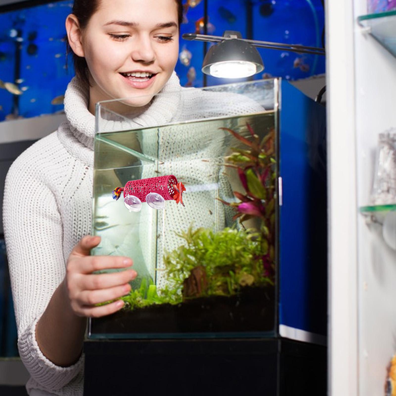 Betta Habitat Resting Shelter  - Fish Toys For Aquarium recension och pris