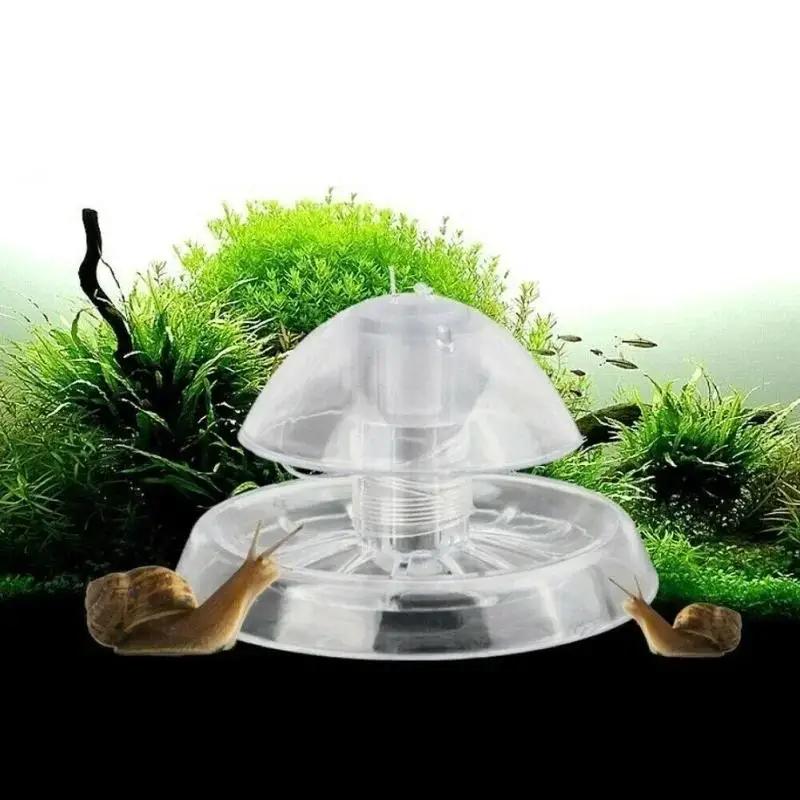 2026 New 6/8CM Clear Plastic S - Aquarium Fish Buy recension och pris