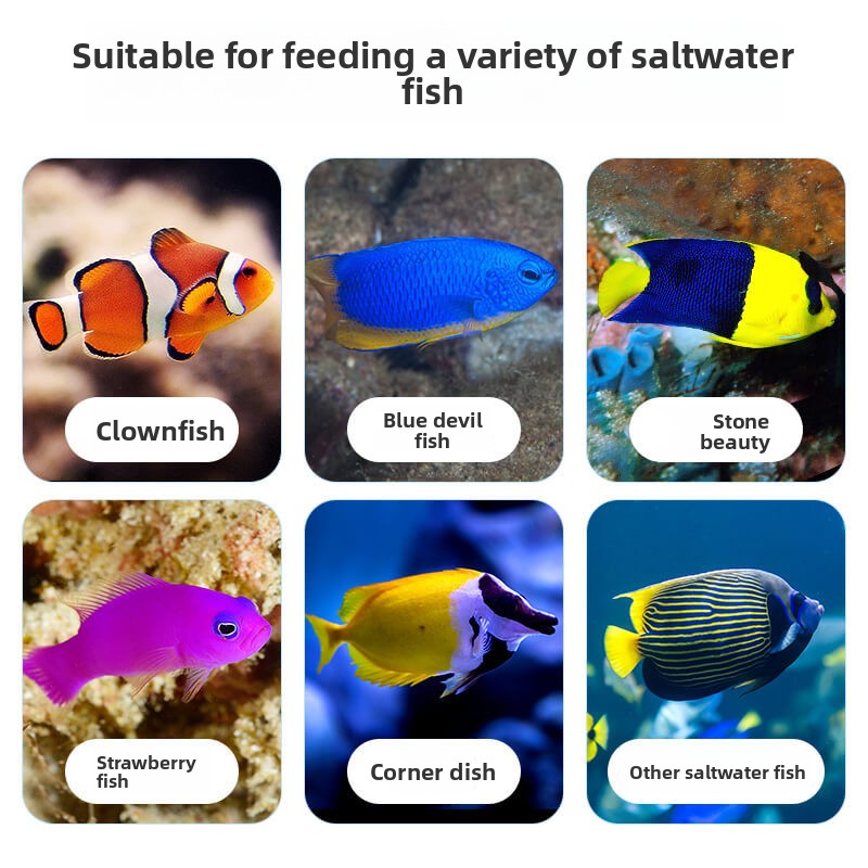 DEERA Clownfish & Tang Food |  - Fish Food Flake recension och pris