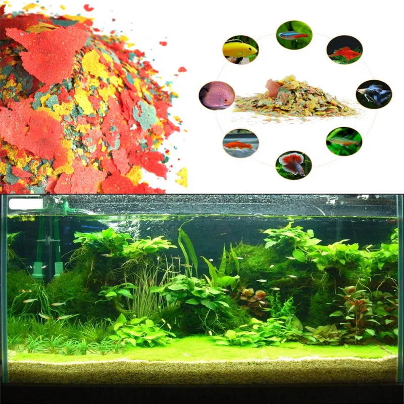 NEW Healthy Fish Food Flakes F - Fish Food Flake recension och pris