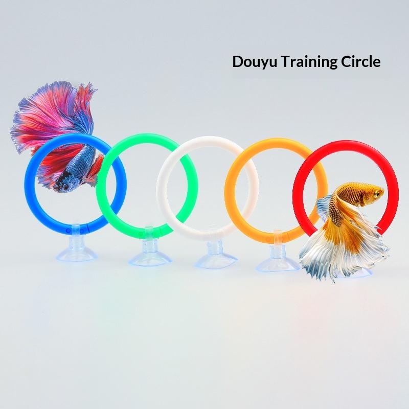 Colorful Betta Fish Training R - Aquarium Fish Game recension och pris