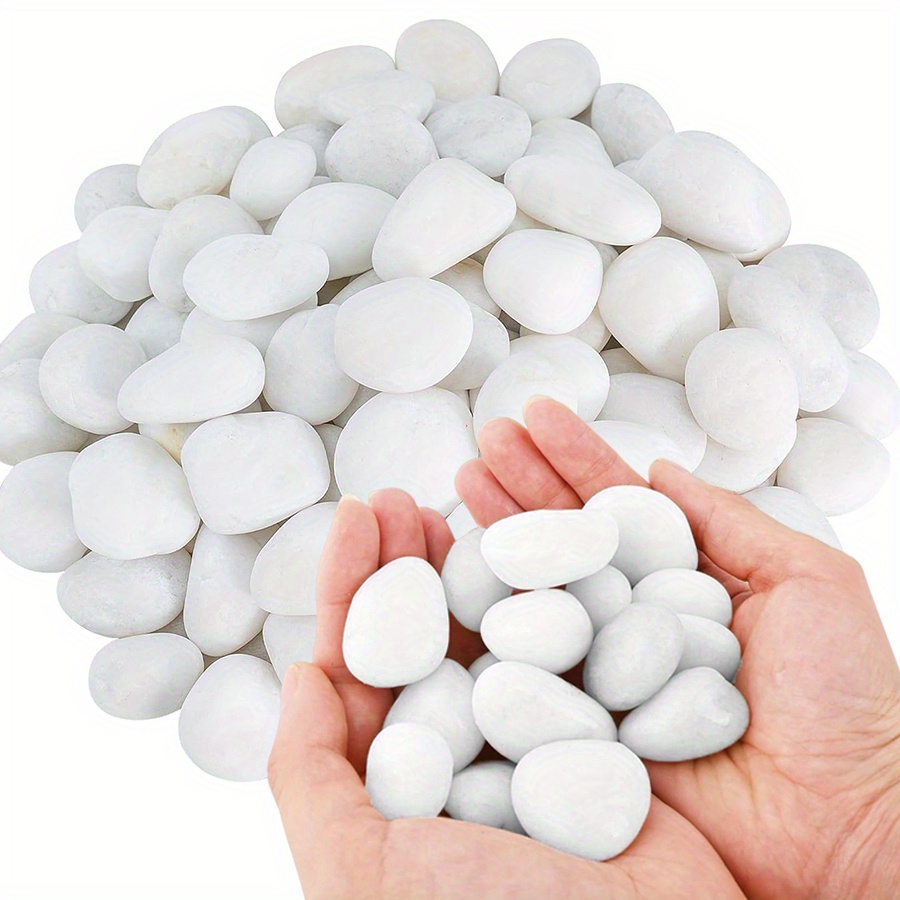 200/400g White High Polished N - Aquarium Fish Buy recension och pris