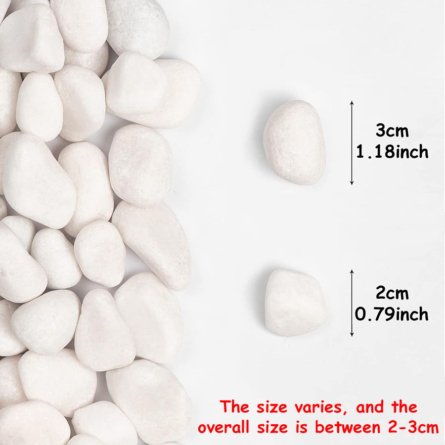 200/400g White High Polished N - Aquarium Fish Buy recension och pris