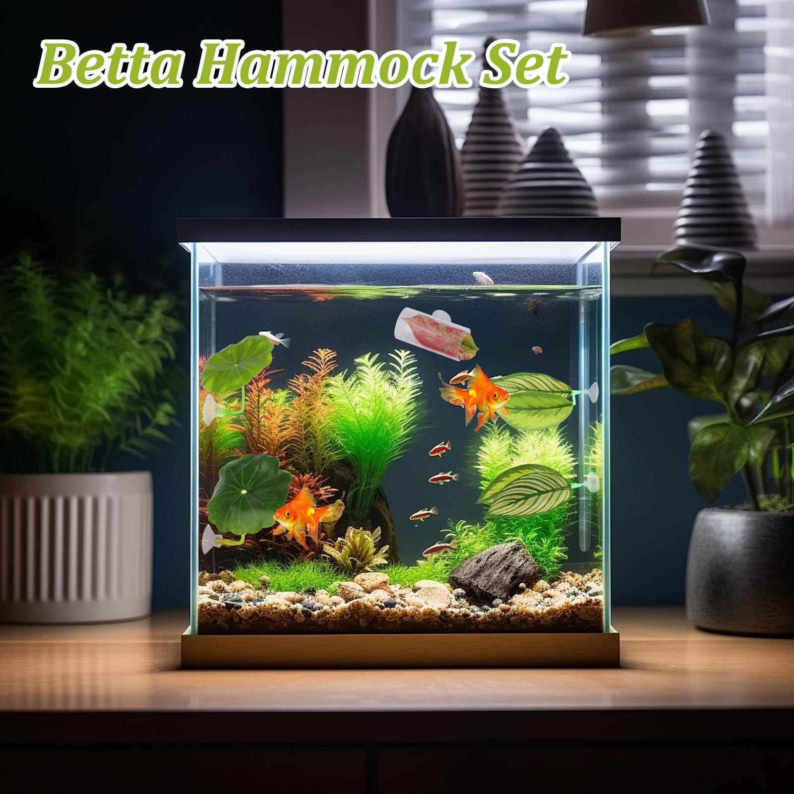 Betta Fish Hammock 5 Pieces Ad - Fish Toys For Aquarium recension och pris