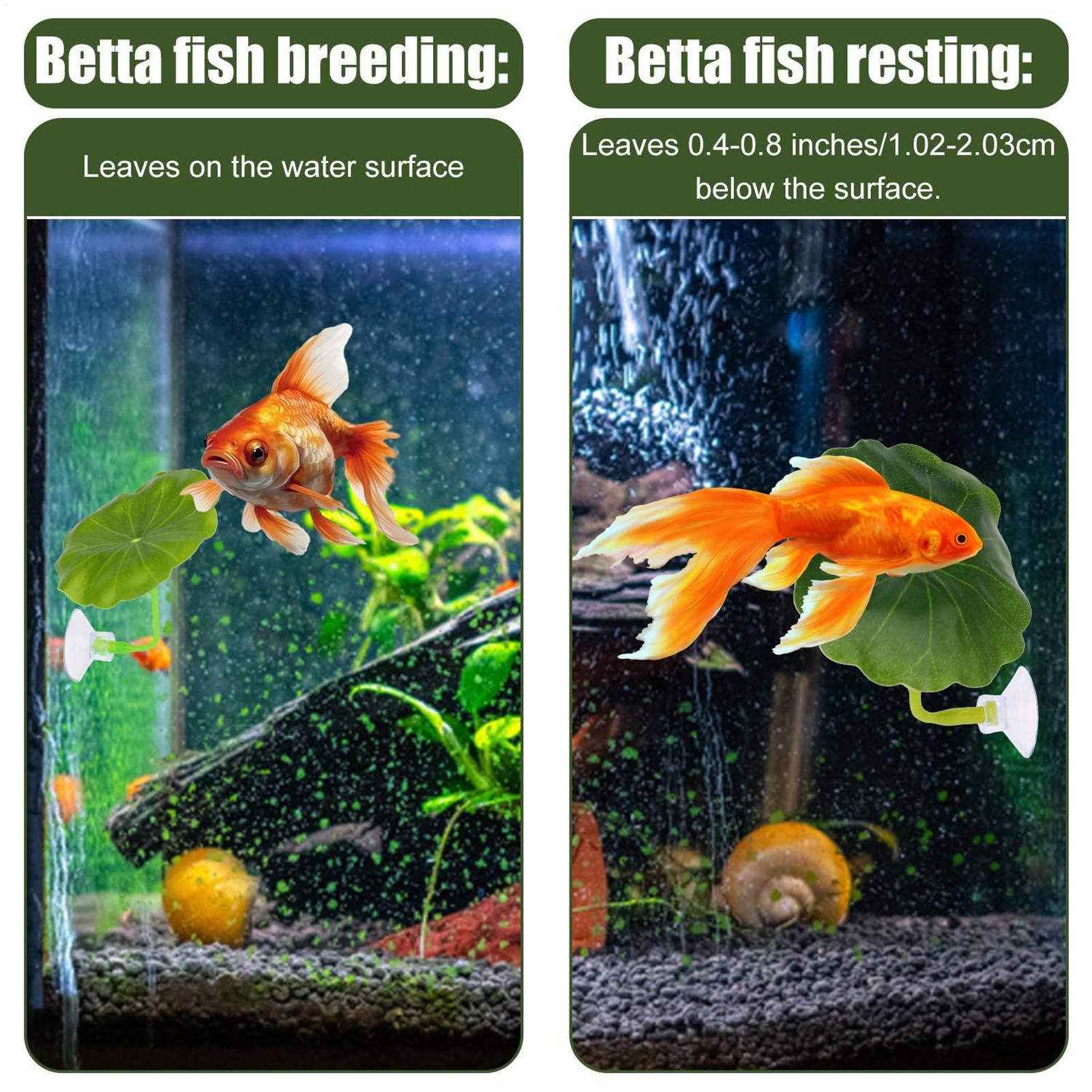 Betta Fish Hammock 5 Pieces Ad - Fish Toys For Aquarium recension och pris