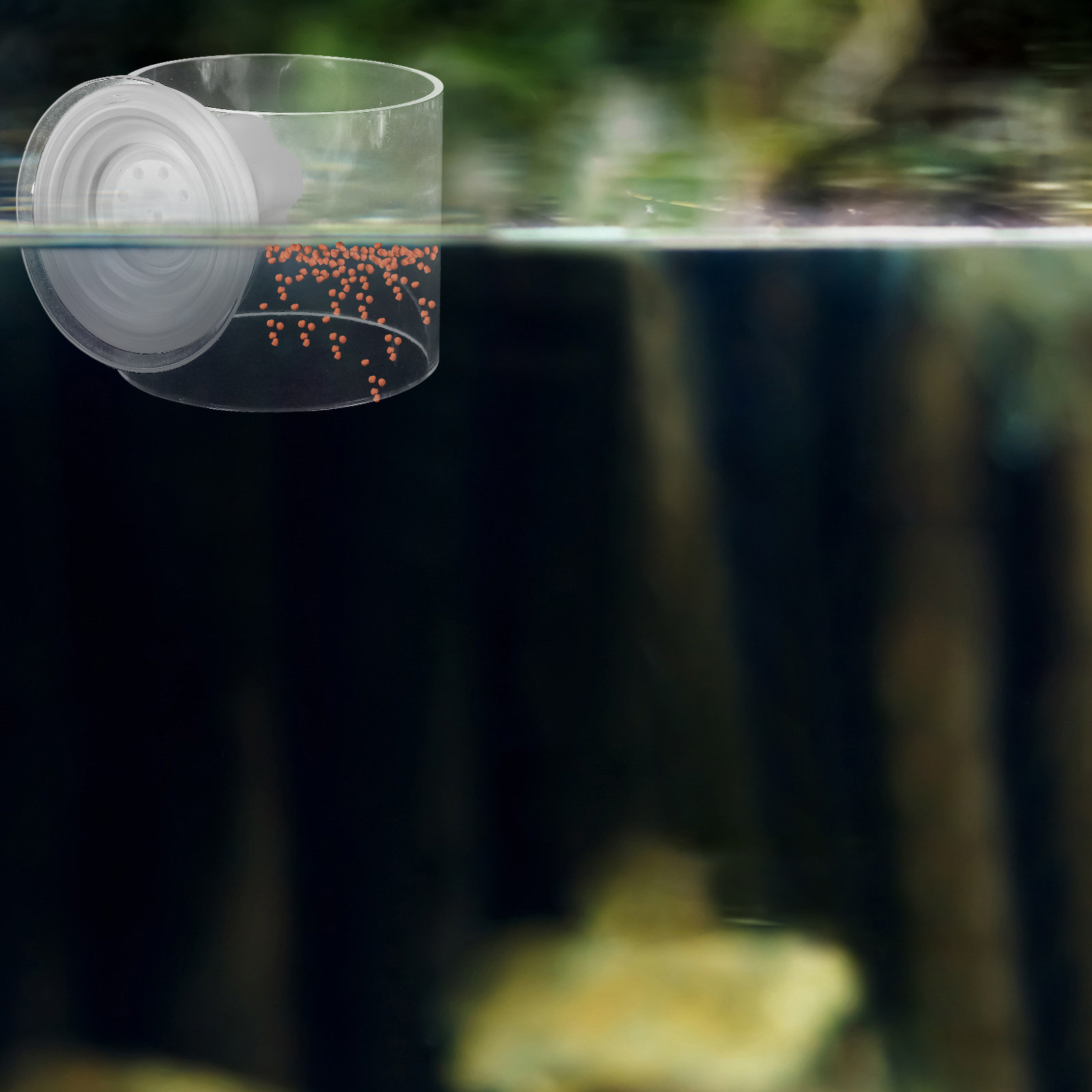 Fish Feeding Ring Chuck Buoyan - Fish Food Flake recension och pris
