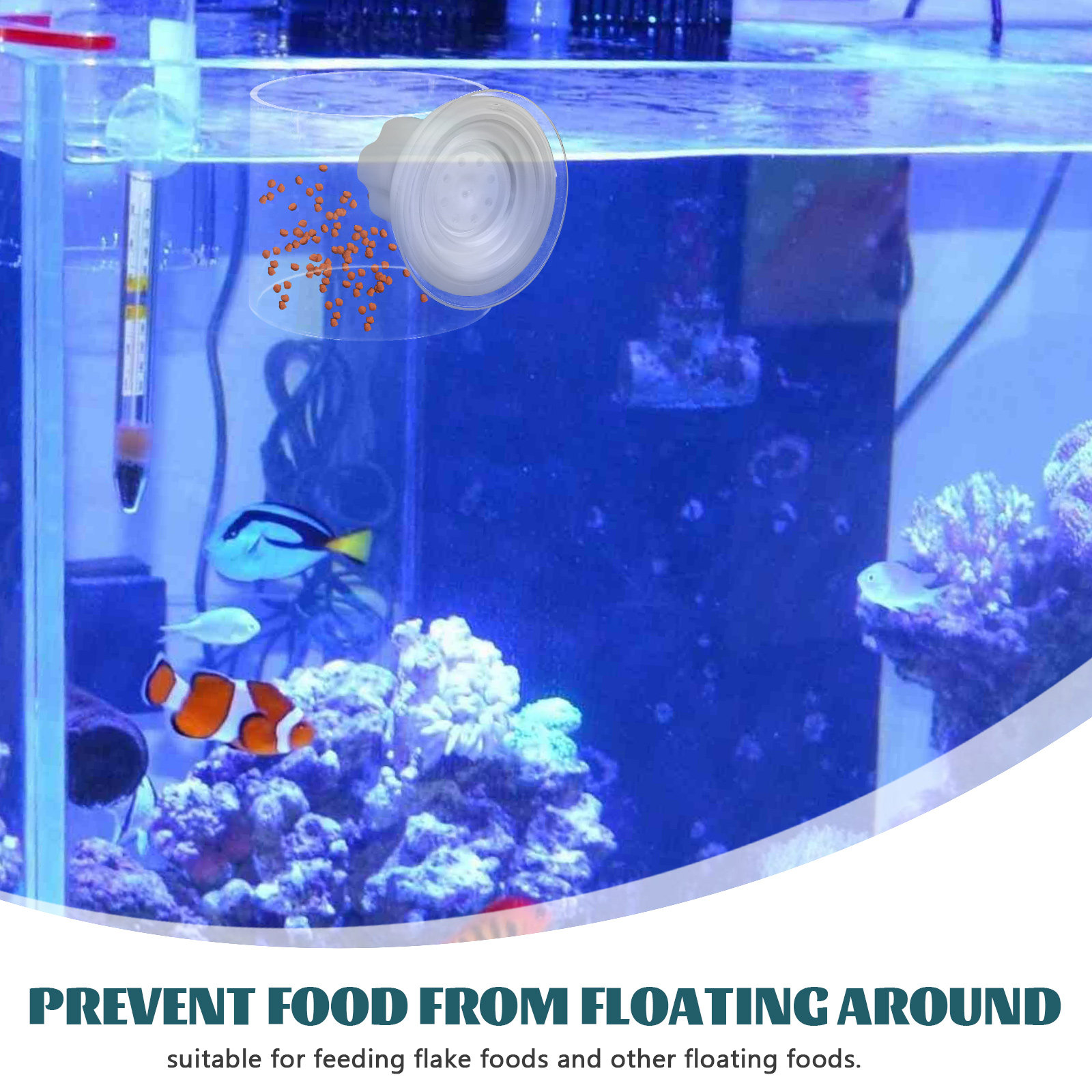 Fish Feeding Ring Chuck Buoyan - Fish Food Flake recension och pris