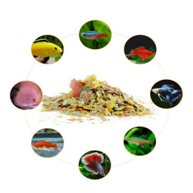 40g Fish Food Coloring and Bri - Fish Food Flake recension och pris