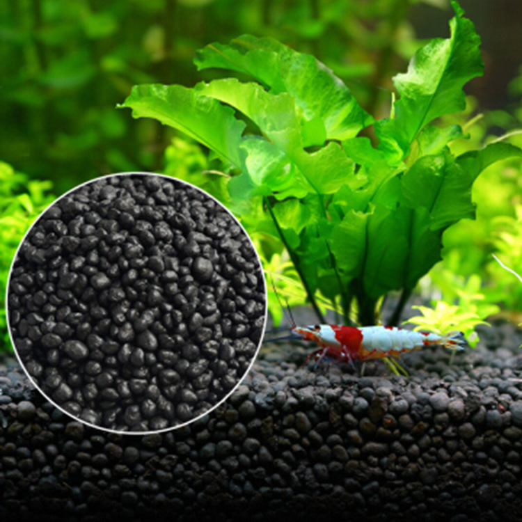Aquarium Plant Seeds Soil Fish - Aquarium Fish Buy recension och pris