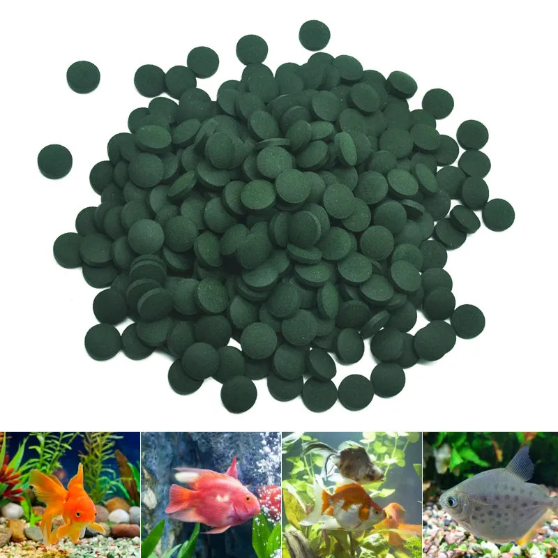 100/600/800/1000/2000Pcs Spiru - Fish Food Flake recension och pris
