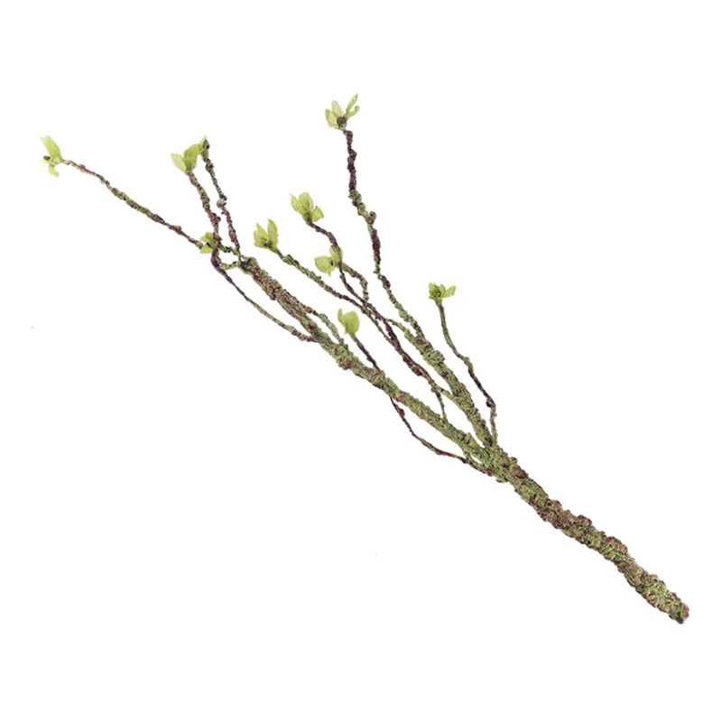 Vines Decor Climbing Branches  - Aquarium Fish Buy recension och pris