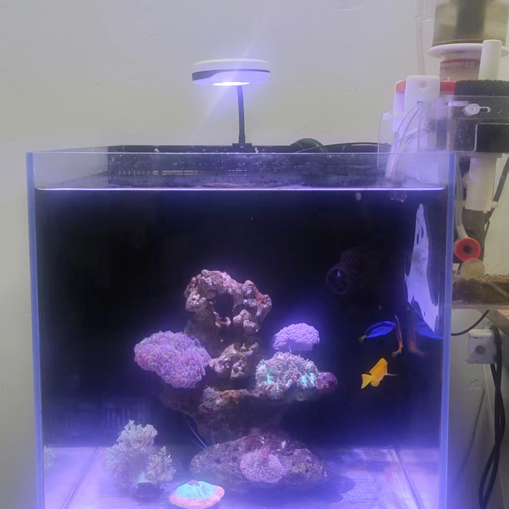 Clip on 20W LED Aquarium Light - Refugium Light Nano recension och pris